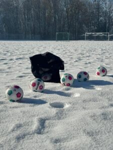 FB_IMG_1763796993017